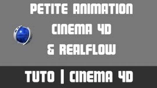 TUTO - Réaliser une petite animation avec Cinema 4D et RealFlow