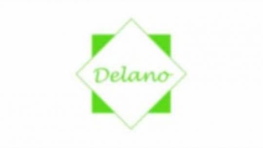 Intro réalisée pour Delano
