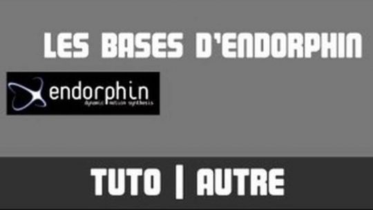 TUTO - Endorphin - Les bases