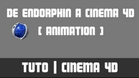 TUTO - Animation - De Endorphin à Cinema 4D
